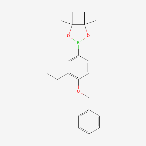 2-(3-ethyl-4-phenylmethoxyphenyl)-4,4,5,5-tetramethyl-1,3,2-dioxaborolane (CAS: 1257078-56-0) - Related Chemical Product