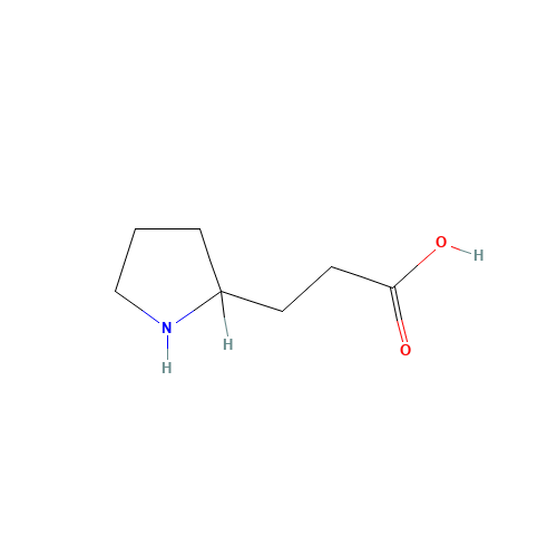 3-pyrrolidin-2-ylpropanoic acid (CAS: 18325-18-3) - Related Chemical Product