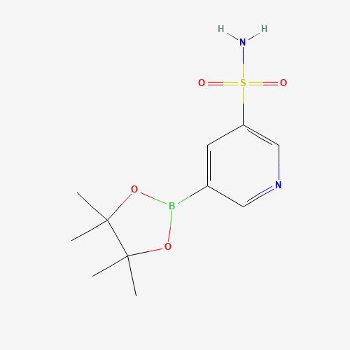 5-(4,4,5,5-tetramethyl-1,3,2-dioxaborolan-2-yl)pyridine-3-sulfonamide (CAS: 1083326-26-4) - Related Chemical Product