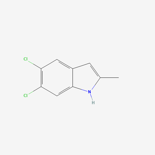 5,6-dichloro-2-methyl-1H-indole (CAS: 479422-03-2) - Related Chemical Product