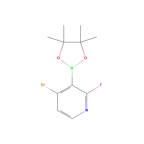 4-bromo-2-fluoro-3-(4,4,5,5-tetramethyl-1,3,2-dioxaborolan-2-yl)pyridine (CAS: 1150561-79-7) - Related Chemical Product