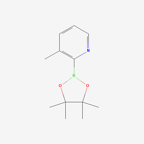 3-methyl-2-(4,4,5,5-tetramethyl-1,3,2-dioxaborolan-2-yl)pyridine (CAS: 1073371-84-2) - Related Chemical Product