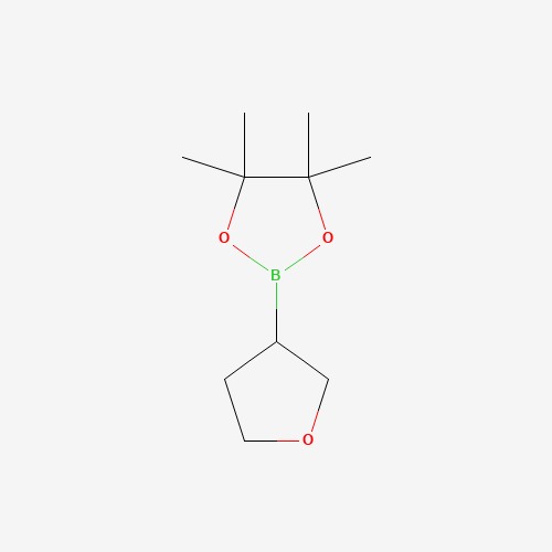 4,4,5,5-tetramethyl-2-(oxolan-3-yl)-1,3,2-dioxaborolane (CAS: 331958-90-8) - Related Chemical Product