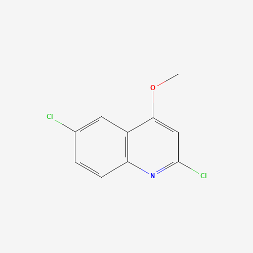 2,6-dichloro-4-methoxyquinoline (CAS: 952434-99-0) - Related Chemical Product