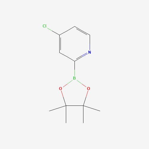 4-chloro-2-(4,4,5,5-tetramethyl-1,3,2-dioxaborolan-2-yl)pyridine (CAS: 1204600-17-8) - Related Chemical Product