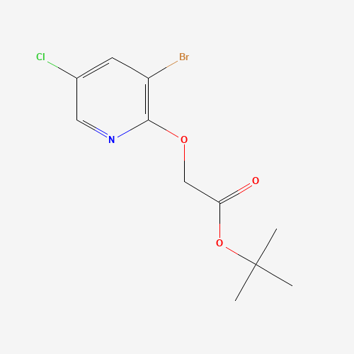 tert-butyl 2-(3-bromo-5-chloropyridin-2-yl)oxyacetate (CAS: 1240288-29-2) - Chemical Structure and Molecular Formula 