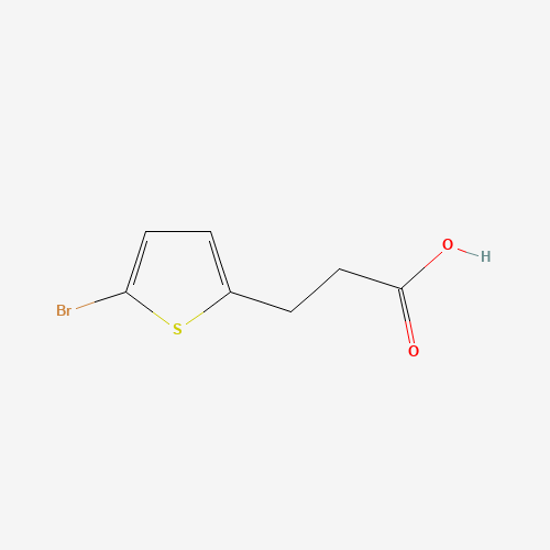 3-(5-bromothiophen-2-yl)propanoic acid (CAS: 900027-23-8) - Related Chemical Product