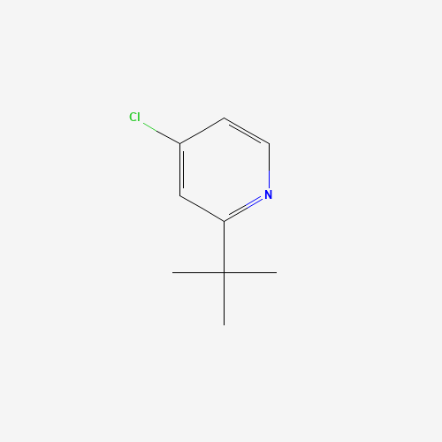 2-tert-butyl-4-chloropyridine (CAS: 1163706-64-6) - Related Chemical Product