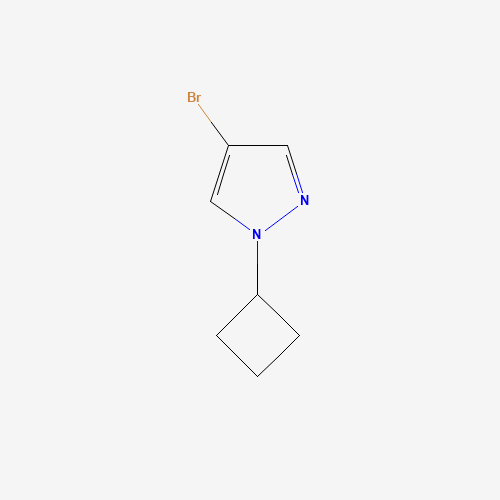4-bromo-1-cyclobutylpyrazole (CAS: 1002309-50-3) - Related Chemical Product