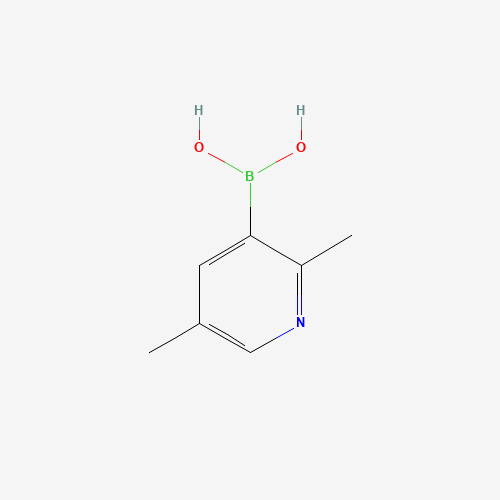 (2,5-dimethylpyridin-3-yl)boronic acid (CAS: 1029654-18-9) - Related Chemical Product