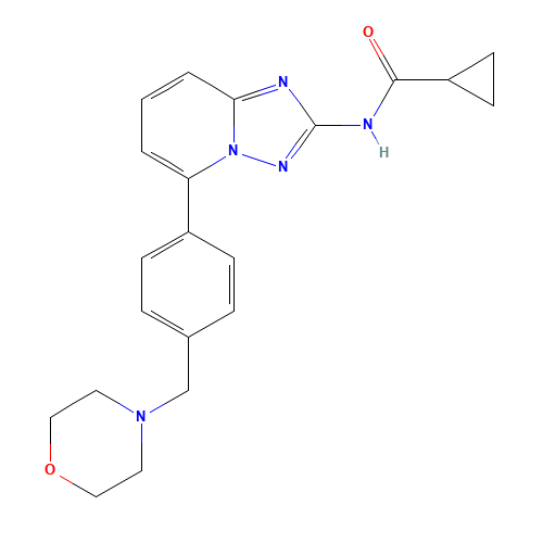 N-[5-[4-(morpholin-4-ylmethyl)phenyl]-[1,2,4]triazolo[1,5-a]pyridin-2-yl]cyclopropanecarboxamide (CAS: 1142938-50-8) - Related Chemical Product