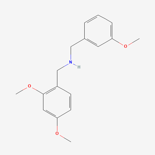 N-[(2,4-dimethoxyphenyl)methyl]-1-(3-methoxyphenyl)methanamine (CAS: 355816-85-2) - Related Chemical Product