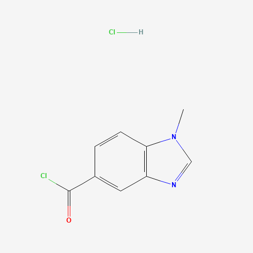 1-methylbenzimidazole-5-carbonyl chloride;hydrochloride (CAS: 906352-57-6) - Chemical Structure and Molecular Formula 