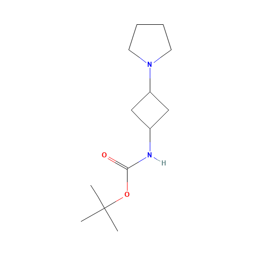 tert-butyl N-(3-pyrrolidin-1-ylcyclobutyl)carbamate (CAS: 1246739-82-1) - Related Chemical Product