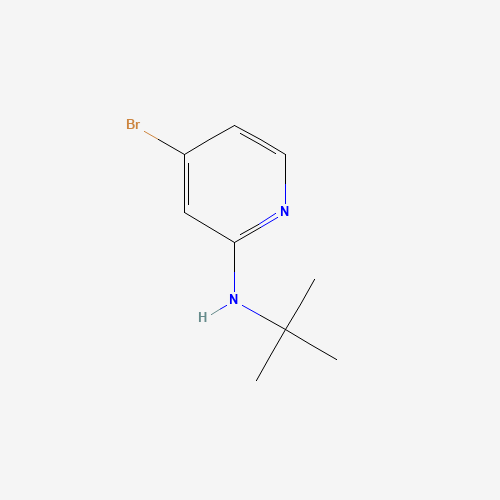 4-bromo-N-tert-butylpyridin-2-amine (CAS: 1256819-02-9) - Related Chemical Product