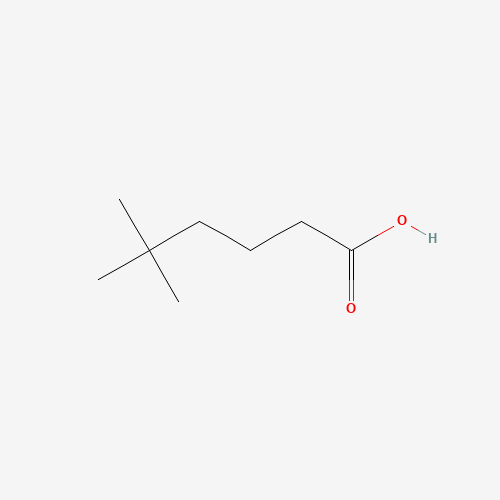5,5-dimethylhexanoic acid (CAS: 24499-80-7) - Related Chemical Product