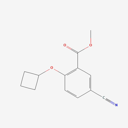 methyl 5-cyano-2-cyclobutyloxybenzoate (CAS: 1065640-61-0) - Related Chemical Product