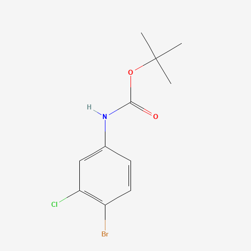 tert-butyl N-(4-bromo-3-chlorophenyl)carbamate (CAS: 1092493-67-8) - Related Chemical Product