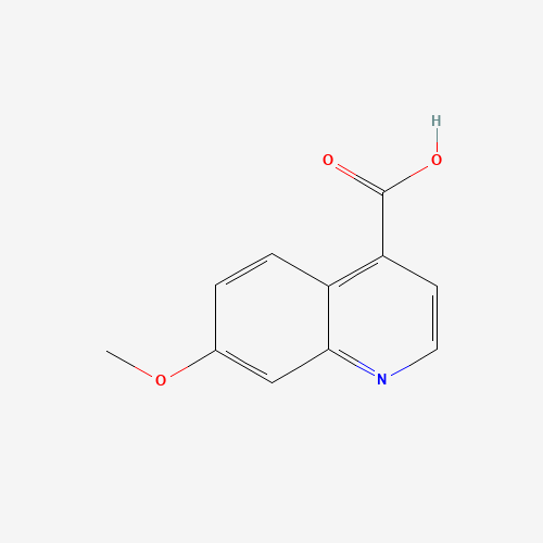 7-methoxyquinoline-4-carboxylic acid (CAS: 816449-02-2) - Related Chemical Product