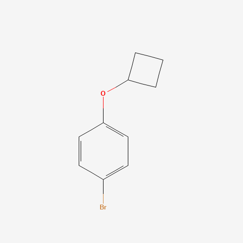 1-bromo-4-cyclobutyloxybenzene (CAS: 1350640-82-2) - Related Chemical Product