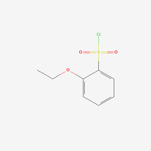 2-ethoxybenzenesulfonyl chloride (CAS: 68800-33-9) - Related Chemical Product