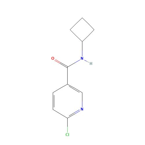 6-chloro-N-cyclobutylpyridine-3-carboxamide (CAS: 585544-24-7) - Related Chemical Product