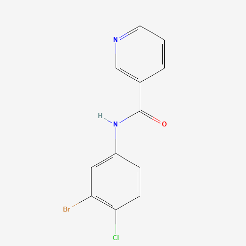N-(3-bromo-4-chlorophenyl)pyridine-3-carboxamide (CAS: 1065483-57-9) - Related Chemical Product