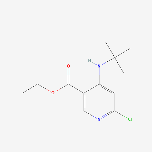 ethyl 4-(tert-butylamino)-6-chloropyridine-3-carboxylate (CAS: 1011464-28-0) - Chemical Structure and Molecular Formula 