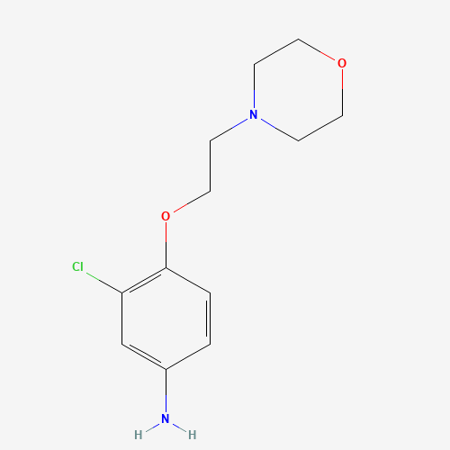 3-chloro-4-(2-morpholin-4-ylethoxy)aniline (CAS: 100248-82-6) - Related Chemical Product