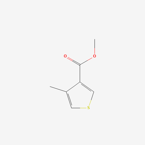 methyl 4-methylthiophene-3-carboxylate (CAS: 61755-84-8) - Related Chemical Product