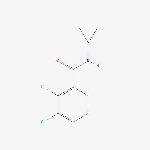 2,3-dichloro-N-cyclopropylbenzamide (CAS: 876937-44-9) - Related Chemical Product