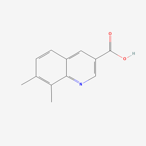 7,8-dimethylquinoline-3-carboxylic acid (CAS: 71082-60-5) - Related Chemical Product