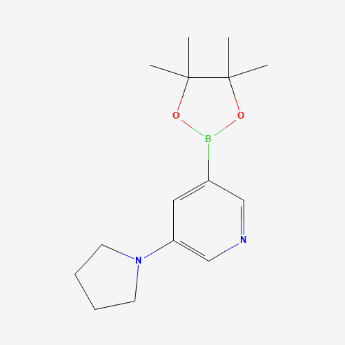 3-pyrrolidin-1-yl-5-(4,4,5,5-tetramethyl-1,3,2-dioxaborolan-2-yl)pyridine (CAS: 1201644-49-6) - Related Chemical Product