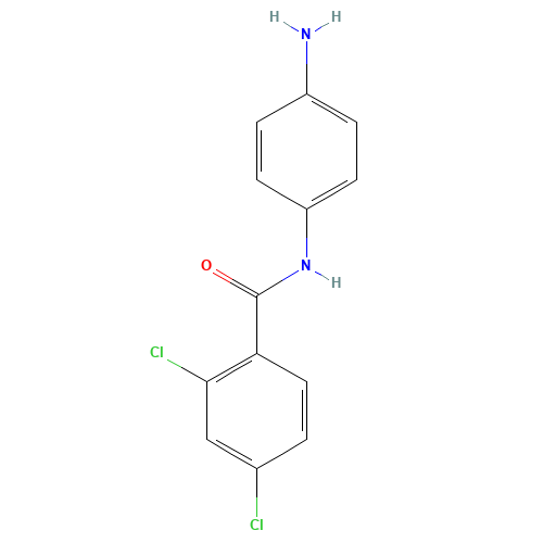 N-(4-aminophenyl)-2,4-dichlorobenzamide (CAS: 293737-94-7) - Related Chemical Product