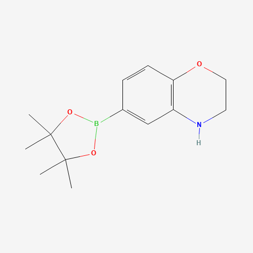 6-(4,4,5,5-tetramethyl-1,3,2-dioxaborolan-2-yl)-3,4-dihydro-2H-1,4-benzoxazine (CAS: 1155264-46-2) - Chemical Structure and Molecular Formula 