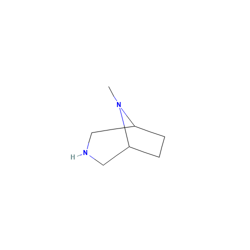 8-methyl-3,8-diazabicyclo[3.2.1]octane (CAS: 51102-42-2) - Related Chemical Product