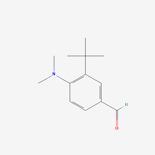 3-tert-butyl-4-(dimethylamino)benzaldehyde (CAS: 1079742-54-3) - Related Chemical Product