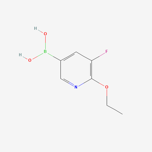 (6-ethoxy-5-fluoropyridin-3-yl)boronic acid (CAS: 1309982-57-7) - Related Chemical Product