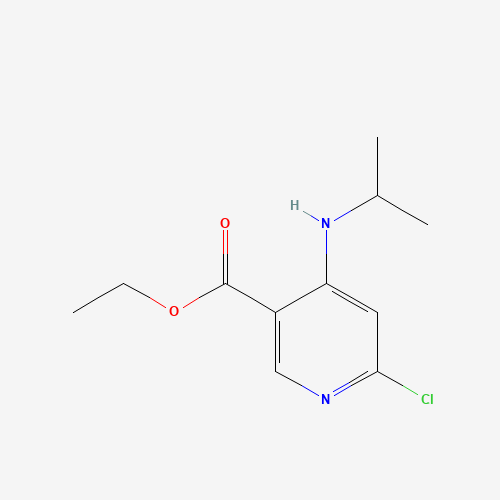 ethyl 6-chloro-4-(propan-2-ylamino)pyridine-3-carboxylate (CAS: 1011464-52-0) - Related Chemical Product