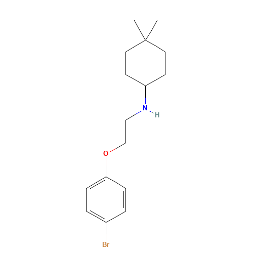 N-[2-(4-bromophenoxy)ethyl]-4,4-dimethylcyclohexan-1-amine (CAS: 1007581-03-4) - Related Chemical Product