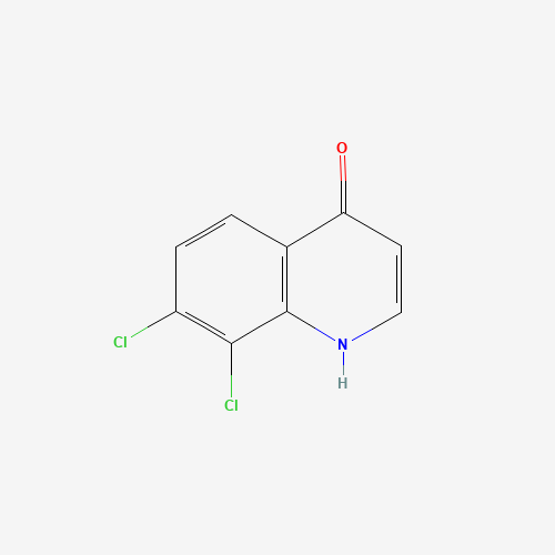 7,8-dichloro-1H-quinolin-4-one (CAS: 871217-91-3) - Chemical Structure and Molecular Formula 