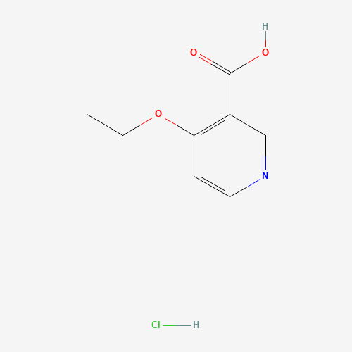 4-ethoxypyridine-3-carboxylic acid;hydrochloride (CAS: 10177-33-0) - Related Chemical Product