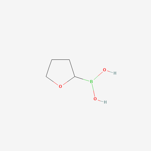 oxolan-2-ylboronic acid (CAS: 1373230-47-7) - Related Chemical Product