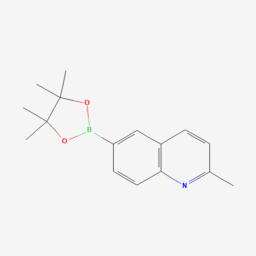 2-methyl-6-(4,4,5,5-tetramethyl-1,3,2-dioxaborolan-2-yl)quinoline (CAS: 1022090-86-3) - Related Chemical Product