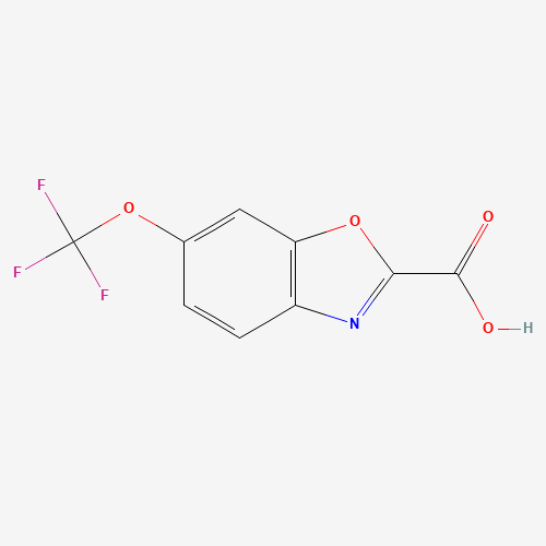 6-(trifluoromethoxy)-1,3-benzoxazole-2-carboxylic acid (CAS: 1211588-75-8) - Related Chemical Product