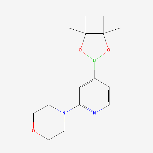 4-[4-(4,4,5,5-tetramethyl-1,3,2-dioxaborolan-2-yl)pyridin-2-yl]morpholine (CAS: 888721-86-6) - Related Chemical Product