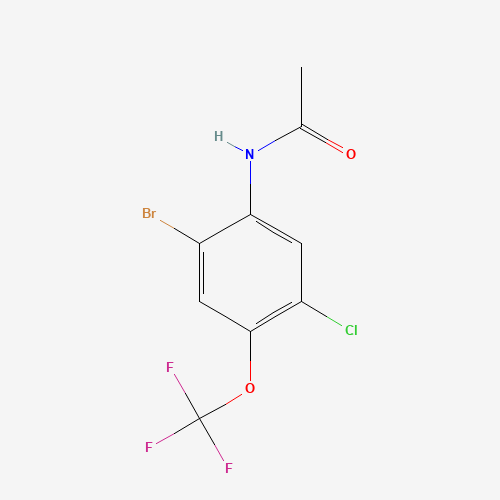 N-[2-bromo-5-chloro-4-(trifluoromethoxy)phenyl]acetamide (CAS: 685536-35-0) - Chemical Structure and Molecular Formula 