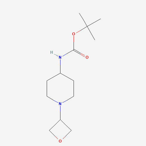 tert-butyl N-[1-(oxetan-3-yl)piperidin-4-yl]carbamate (CAS: 1228948-05-7) - Related Chemical Product