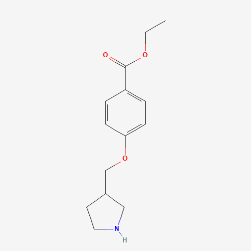 ethyl 4-(pyrrolidin-3-ylmethoxy)benzoate (CAS: 908288-80-2) - Chemical Structure and Molecular Formula 