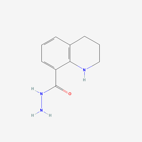 1,2,3,4-tetrahydroquinoline-8-carbohydrazide (CAS: 120164-02-5) - Chemical Structure and Molecular Formula 